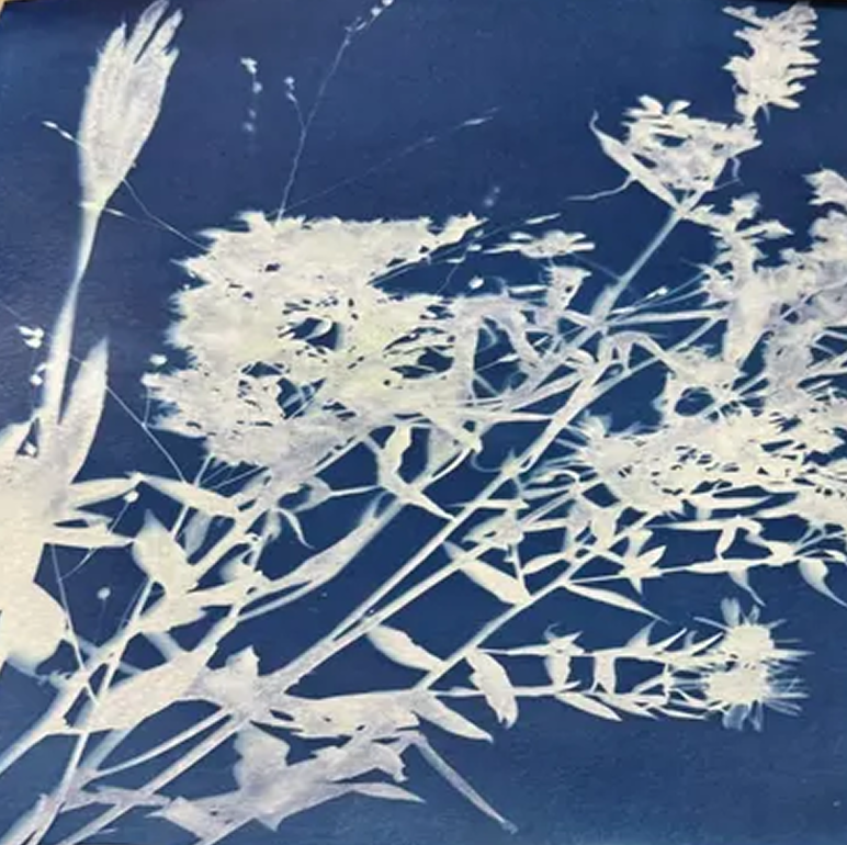 White floral silhouettes on cyan backdrop