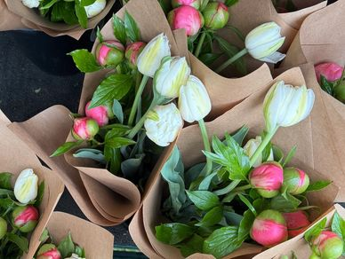Wrapped tulips and greenery in paper