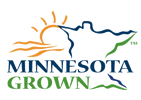 Outline of Minnesota with sun illustration