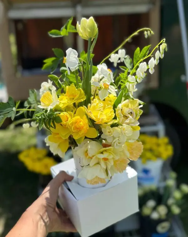 Spring flowers in a white box