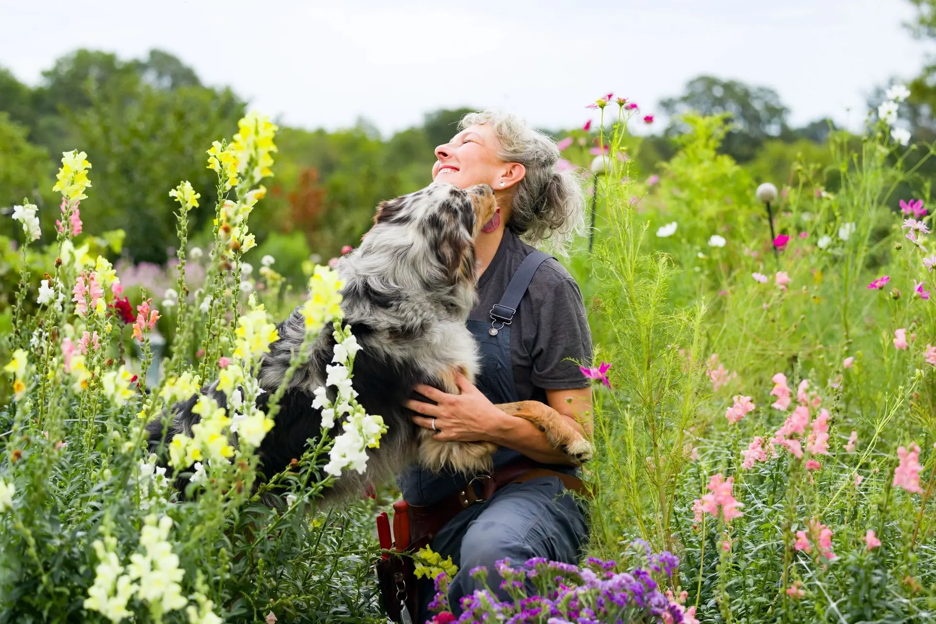 Person and dog in colorful flower garden