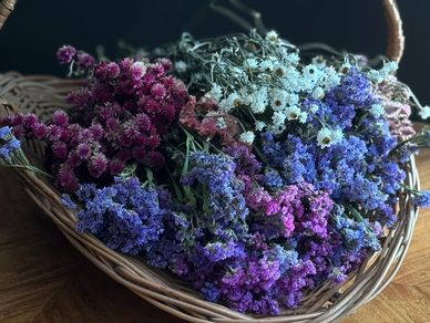 Assorted dried blooms on display