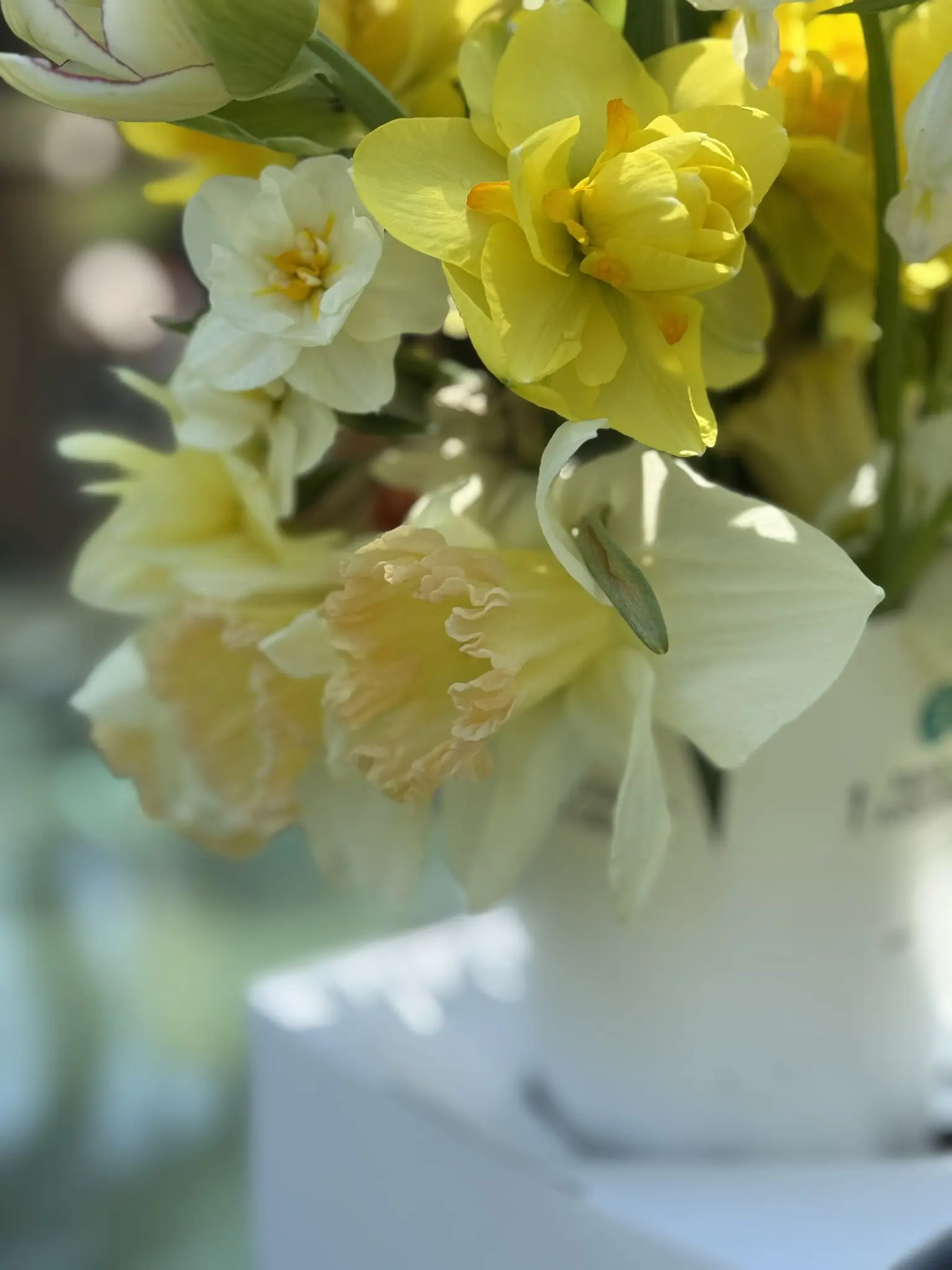 A white butterfly rests on yellow and white flowers in soft sunlight.