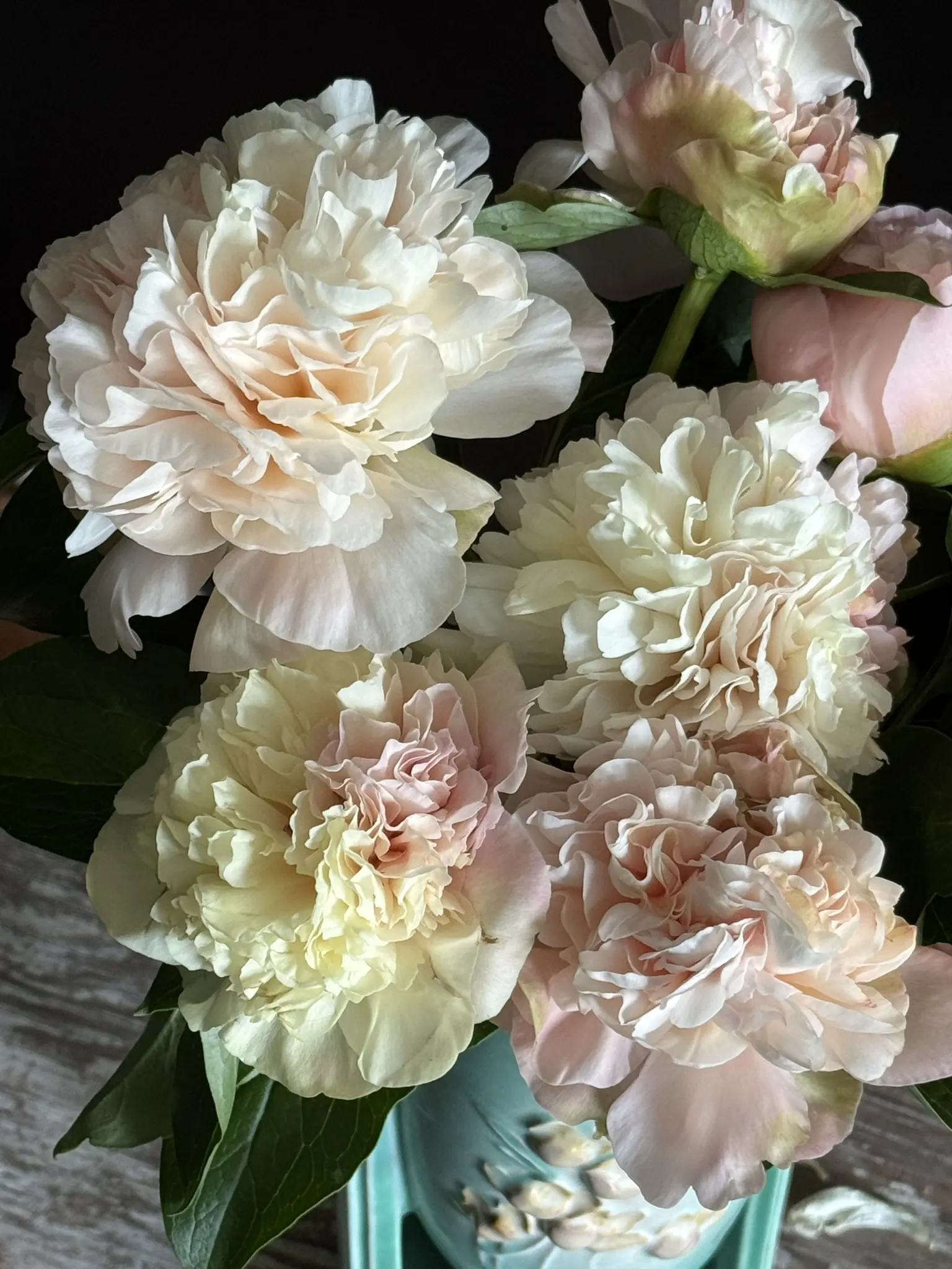 Close-up of soft pastel carnations in a bouquet.