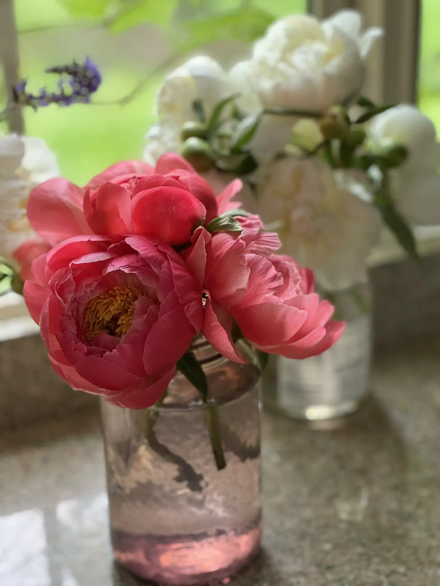 Close-up of vibrant pink roses in a glass jar on a table.