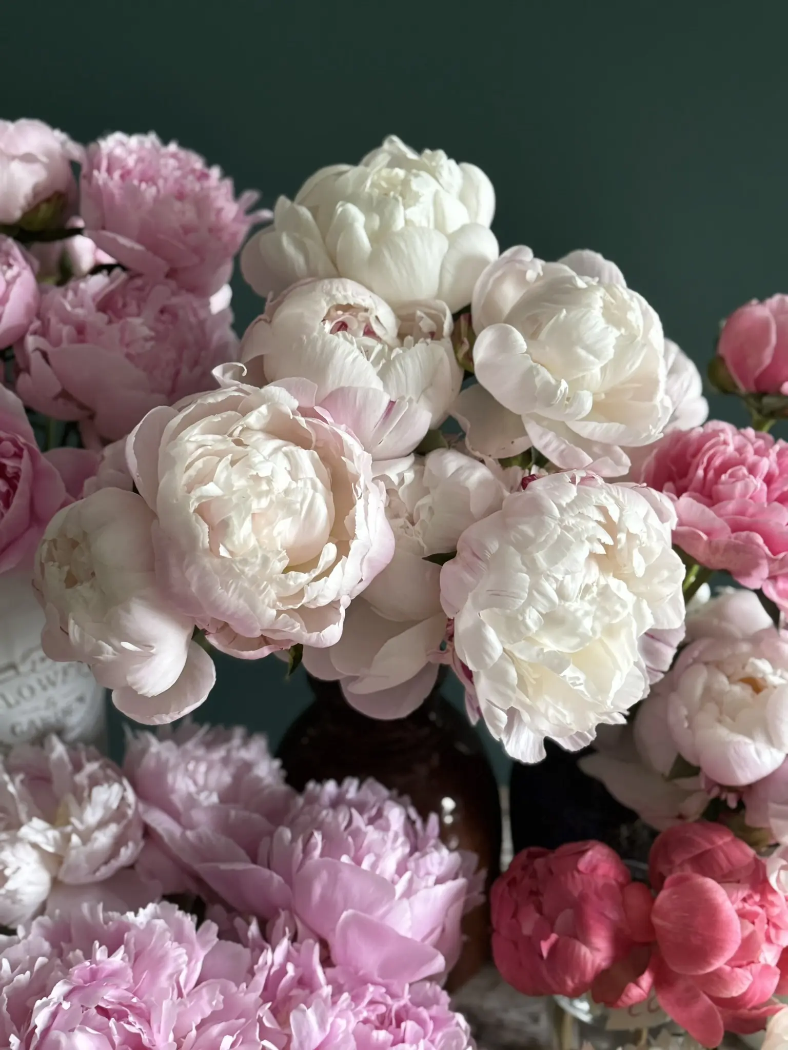 A bouquet of soft pink and white peonies with delicate petals.