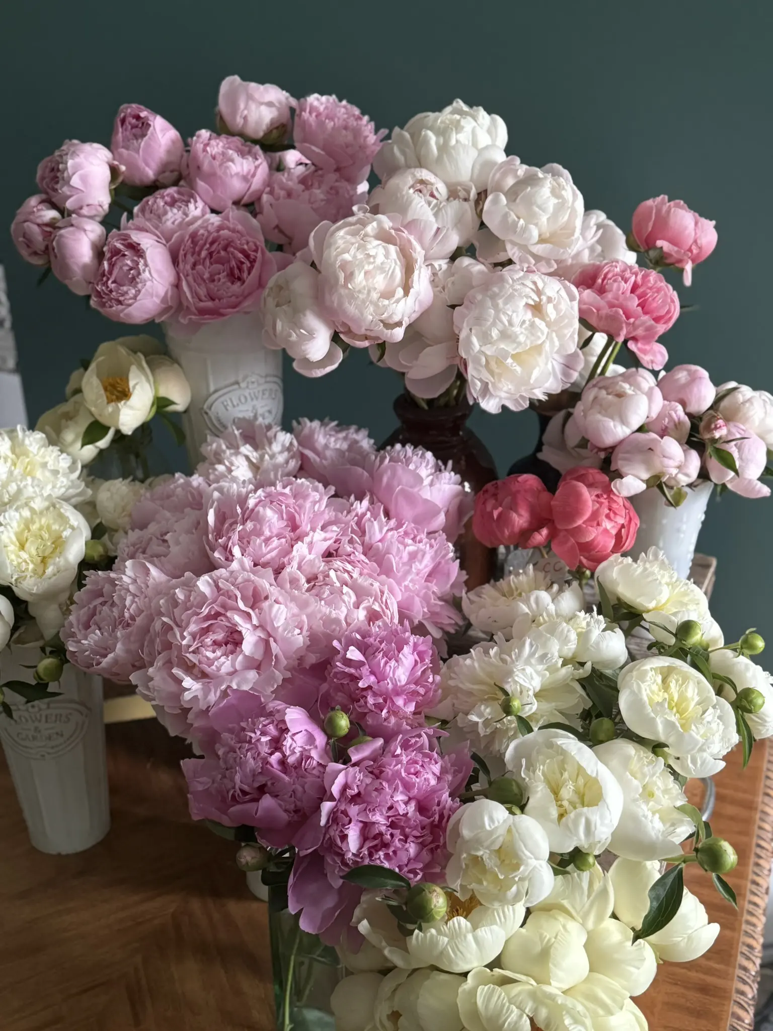 A vibrant collection of pink, white, and cream peonies in vases.
