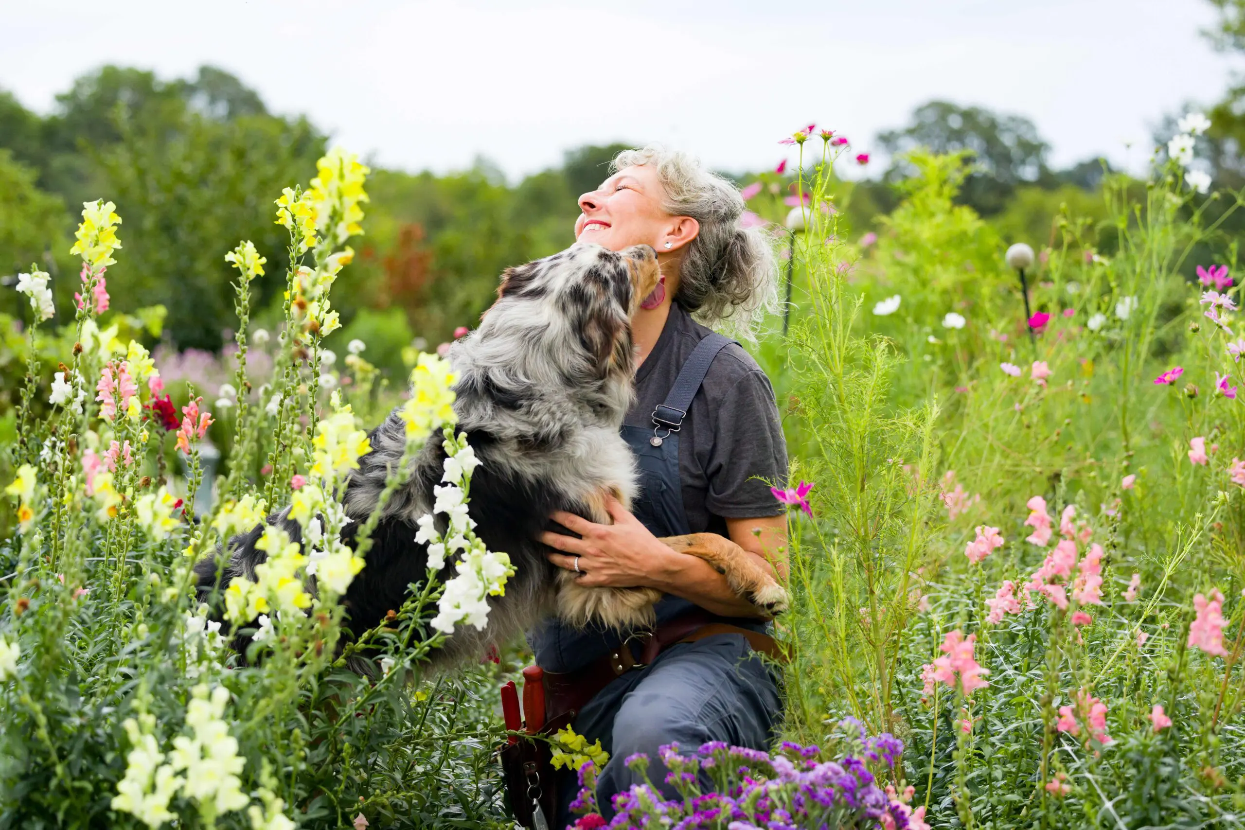 Person joyfully embraces their dog in a vibrant flower garden.