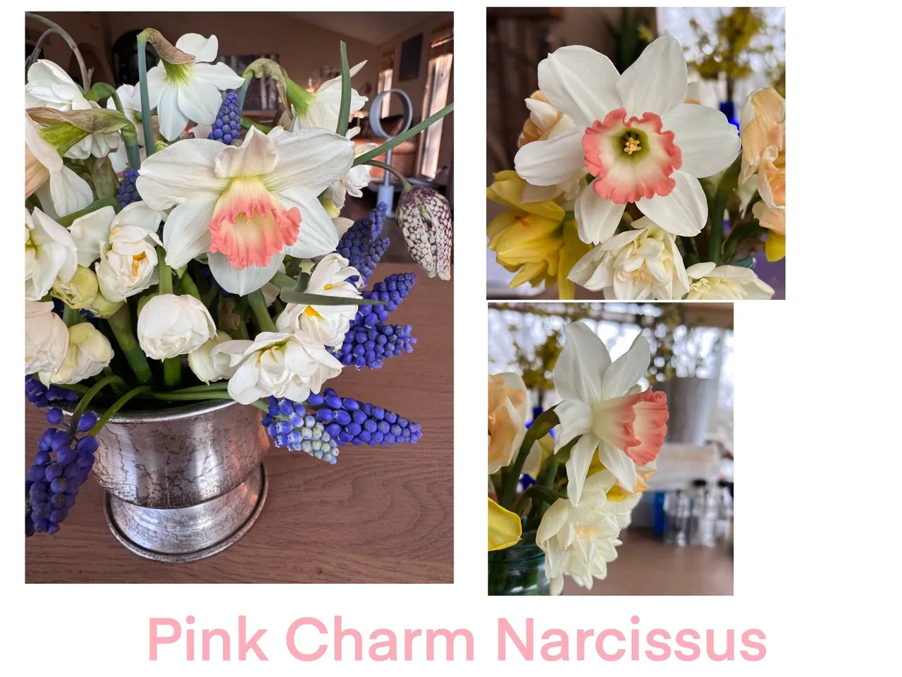Flower bouquet with Pink Charm Narcissus