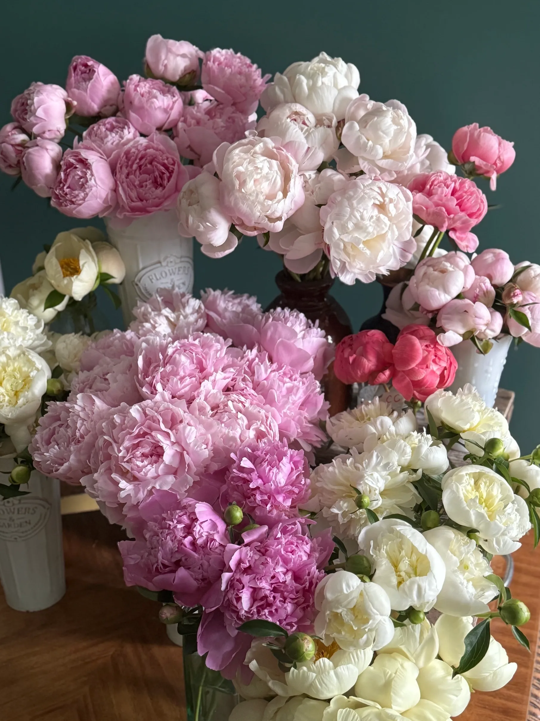 A vibrant bouquet of pink, white, and red peonies in full bloom.