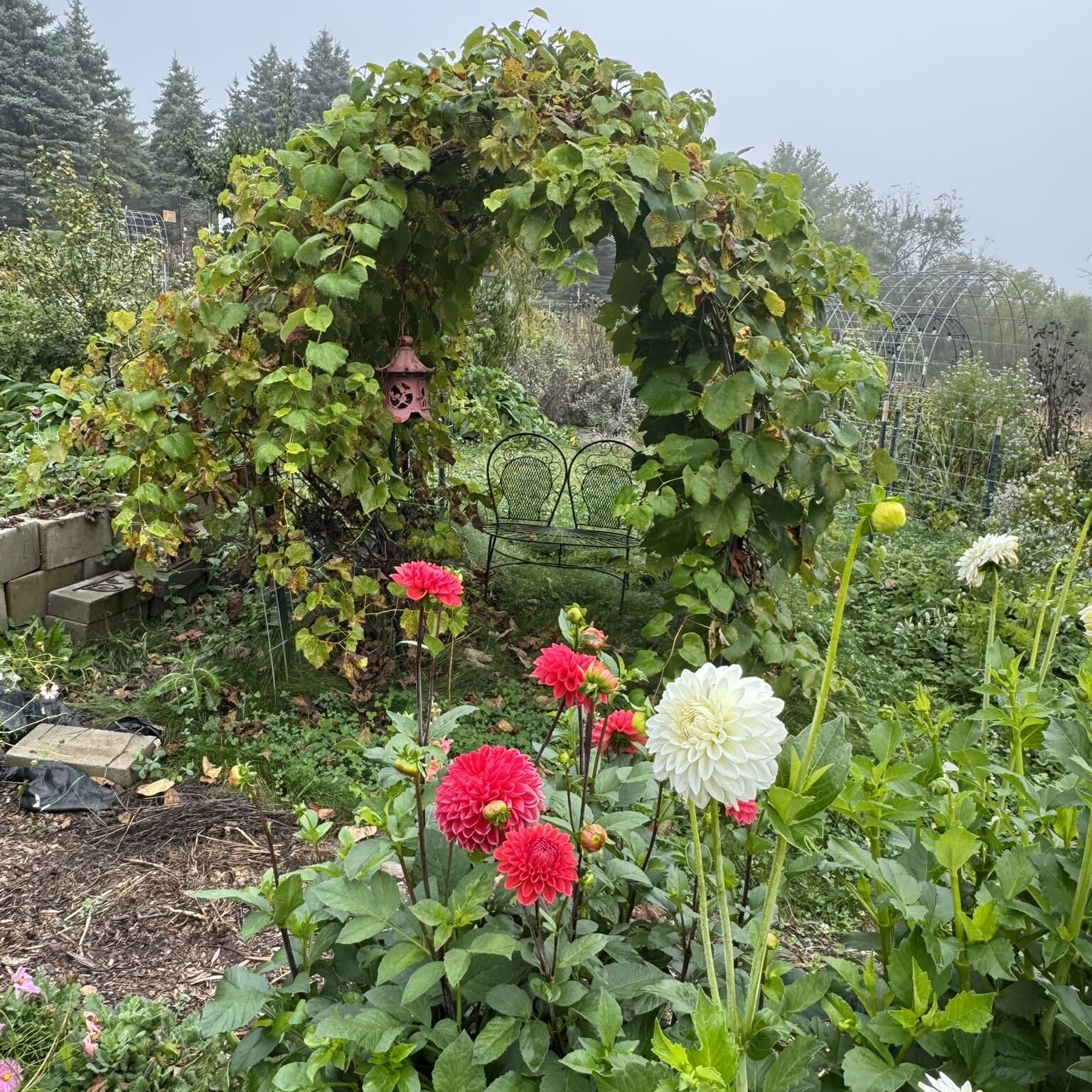 A lush garden arch and vibrant flowers under a cloudy sky.